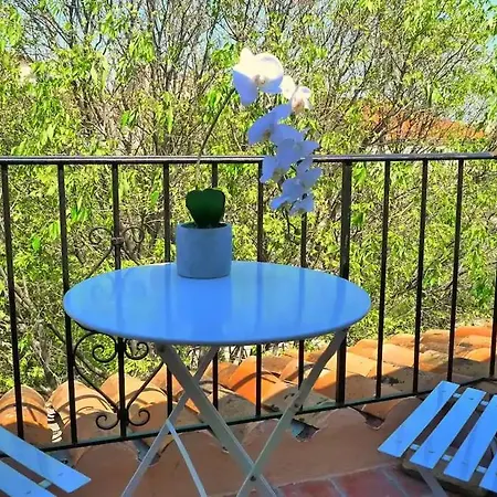 Apartment Freshly Tastefully Renovated In Heart Of Old